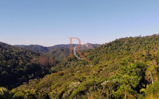 Terreno em condomínio fechado com uma vista espetacular para o Vale e para a Floresta